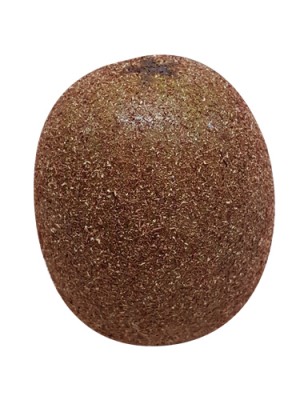 Trái Kiwi