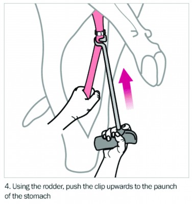 METAL DETECTABLE BEEF WEASAND CLIP